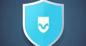 The Security Shield: Which Virus Scan Software Stands Out?